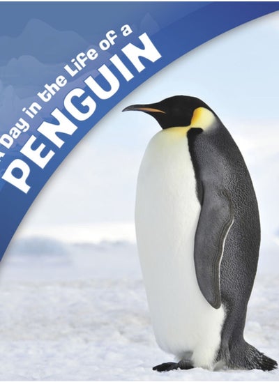 اشتري A Day in the Life of a Penguin في الامارات