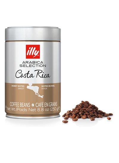 Buy illy Whole Bean Coffee - Perfectly Roasted Whole Coffee Beans – Costa Rica Medium Roast - with Notes of Honey, Vanilla & Citrus - 100% Arabica Coffee - No Preservatives – 8.8 Ounce in UAE