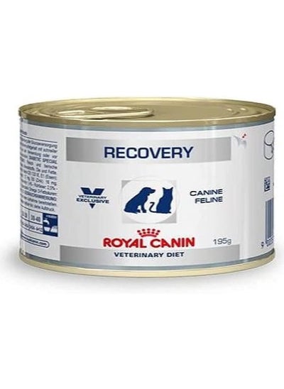 Buy Royal Canin Recovery Liquid Can for Dogs and Cats, 195 g All Life Stages in UAE