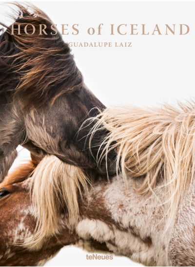 اشتري Horses of Iceland في الامارات