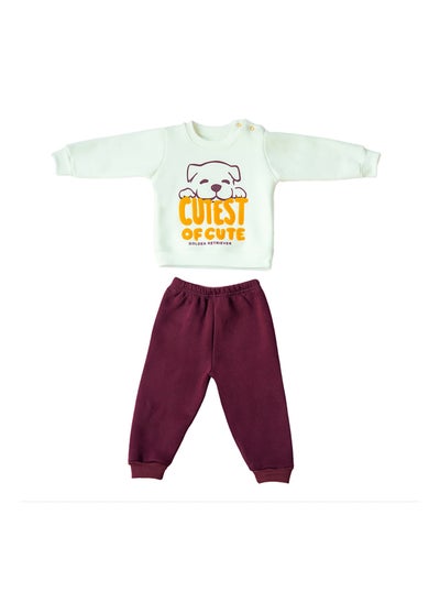 Buy Baby Boys Pants & Sweatshirt Set in Egypt