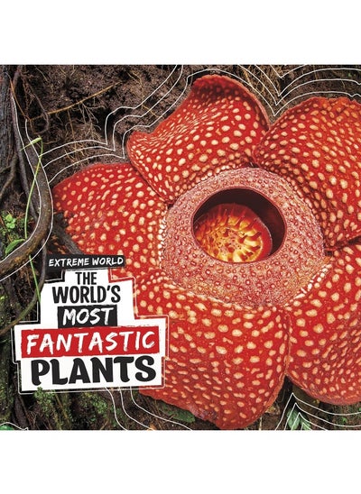 Buy The World's Most Fantastic Plants in UAE