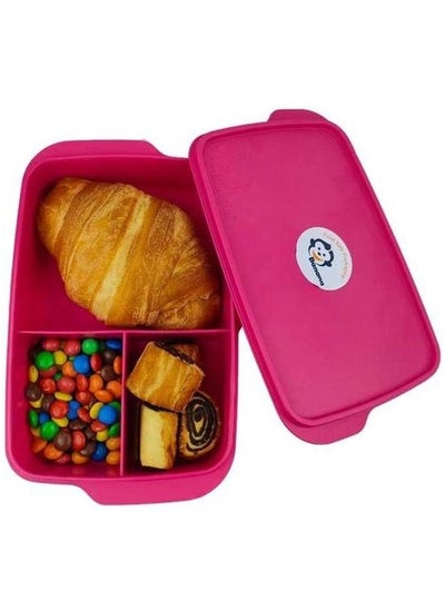 Buy Lunch box divided from the inside with 3 sections, 1 liter - suitable for schools in Egypt