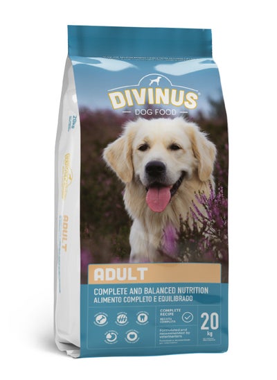 Buy DIVINUS Complete and Balance Health Nutrition Adult Dog Dry Food Multicolour 20KG in UAE