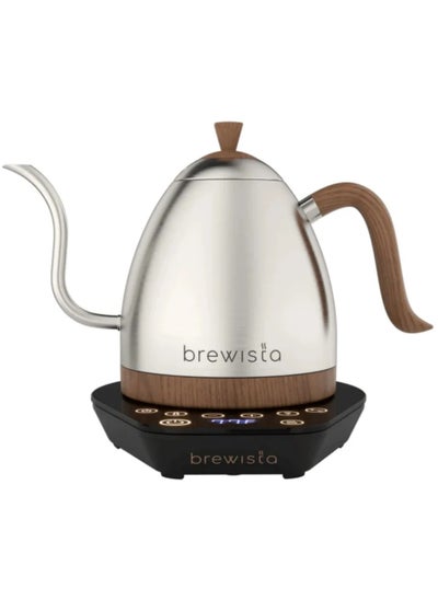 Buy Electric gooseneck kettle 1.0l silver in Saudi Arabia