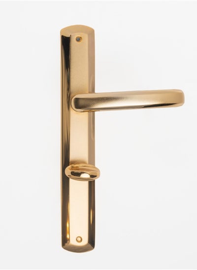 Buy Remo Bathroom Door Handle in Egypt