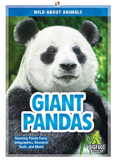 Buy Giant Pandas in UAE