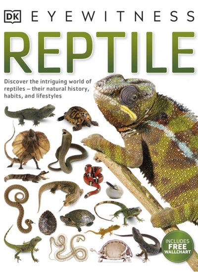 Buy Reptile in UAE