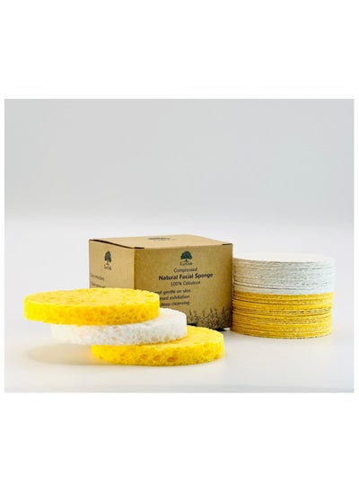 Buy Compressed Natural Facial Cleansing Sponges - Pack of 50 Reusable Cosmetic Sponge - Mask Makeup Removal in UAE