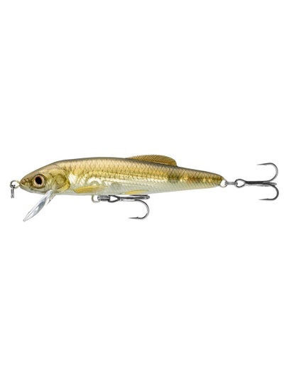 Buy Live Target Minnow Jerkbait 3" in UAE