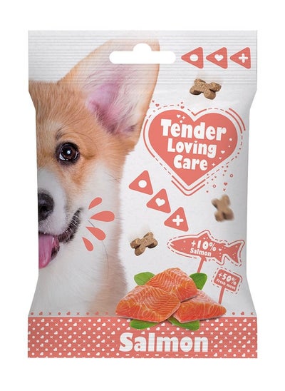 Buy Soft Salmon Snack For Dogs 100G in UAE