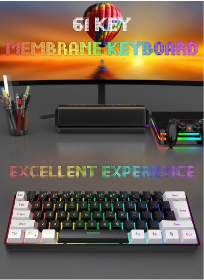 Buy 61-Key Membrane Keyboard - Wired Mini Keyboard - Gaming Keyboard and Office Keyboard - RGB Light - Computer Keyboard in UAE