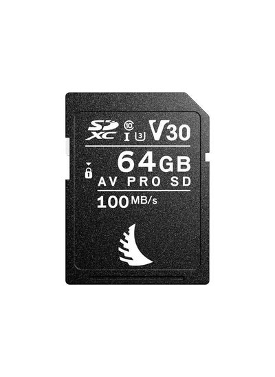 Buy AV PRO SD MK2 Card 64GB, UHS-I / V30 / U3 / Class 10, Read:100 MB/s Write:52 MB/s 4k - AB-AVP064SDV30 in UAE