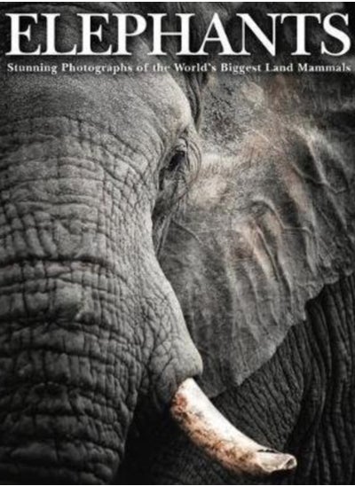 اشتري Elephants : Stunning Photographs of the World's Biggest Land Mammals في الامارات