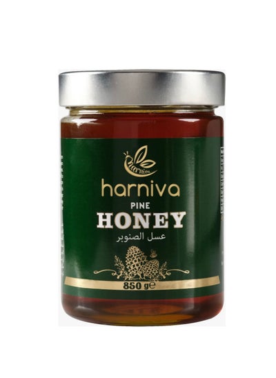 Buy Pine Honey 850 Grams Raw Organic and Natural Used with Breakfast Honey Cakes and Tea Rich in Antioxidants & Minerals in UAE