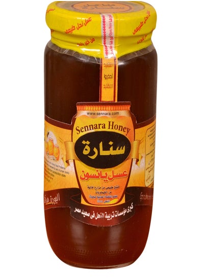 Buy Anise Honey 950gm in Egypt