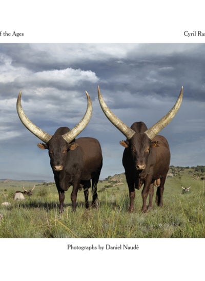 اشتري Cattle of the Ages : Ankole cattle in South Africa في الامارات