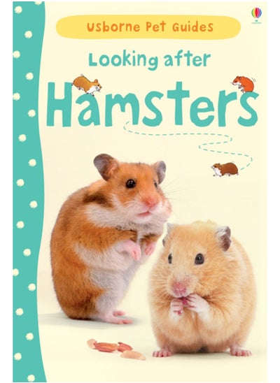 Buy Looking after Hamsters in UAE