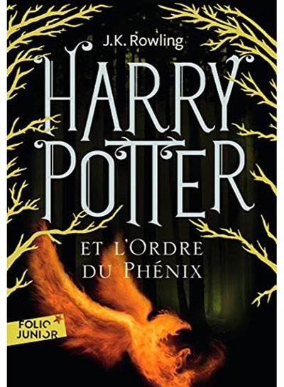 Harry Potter et l'Ordre du Phénix - volume 5 - French Edition