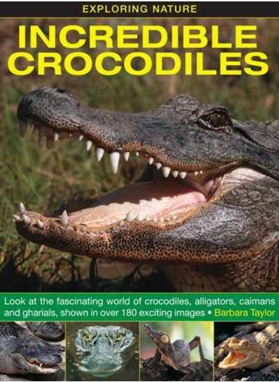 Buy Exploring Nature: Incredible Crocodiles in UAE