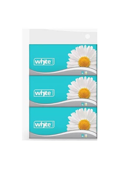 Buy Flexi 500 Tissues Large 3 Ply Pack of 3 in Egypt