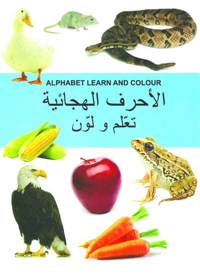 Buy Alphabet Learn And Colour in UAE