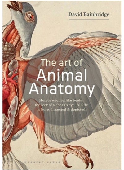 Buy The Art of Animal Anatomy : All Life is Here, Dissected and Depicted in Saudi Arabia