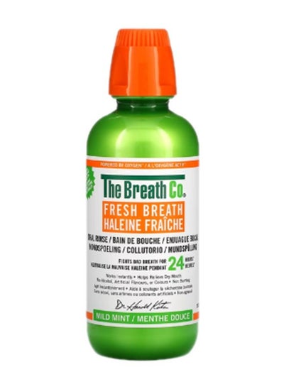 Buy Fresh Breath Oral Rinse Mild Mint 500 ml in UAE