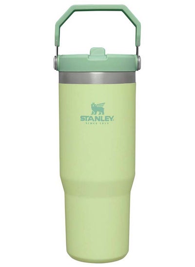 Buy The IceFlow™ Flip Straw Tumbler 0.89L / 30oz Citron in UAE