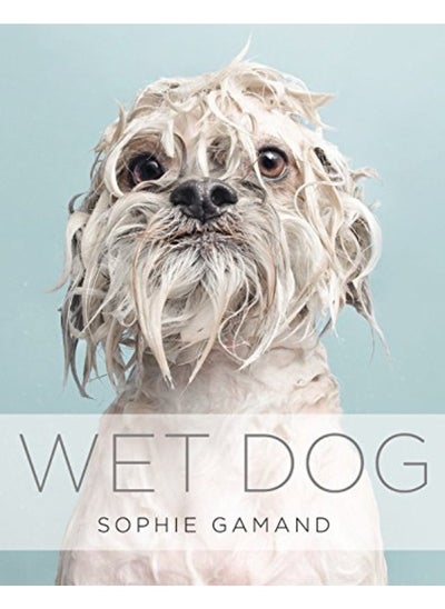 Buy Wet Dog in UAE