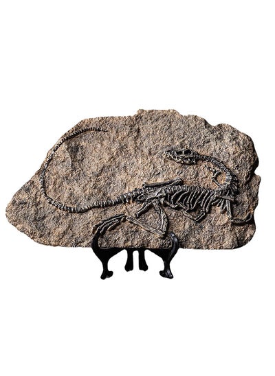 اشتري Resin Fossil Dinosaur Statue Model Simulated Dinosaur Skeleton Fossil Model for Home Office Decorative Craft Decoration في الامارات