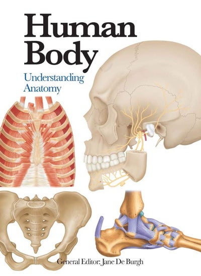 اشتري Human Body: Understanding Anatomy في الامارات