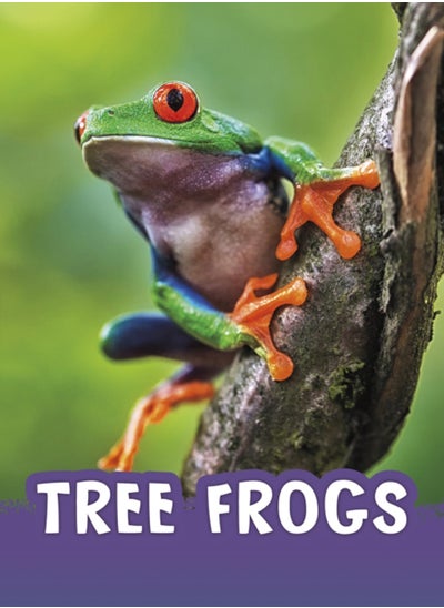 Buy Tree Frogs in Saudi Arabia