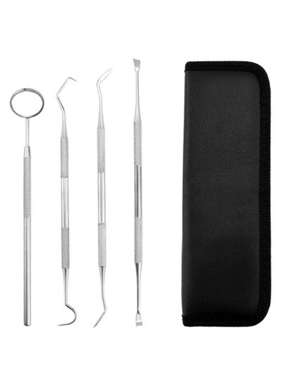 Buy 4-in-1 Stainless Steel Dental Kit for Men and Women,Professional Teeth Cleaning kit With Black Zipper Bag in UAE