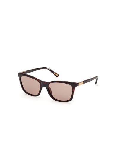 اشتري Women's Square Shape  Sunglasses SE636052H54 Lens Size: 54 Millimeter - Dark Havana في السعودية