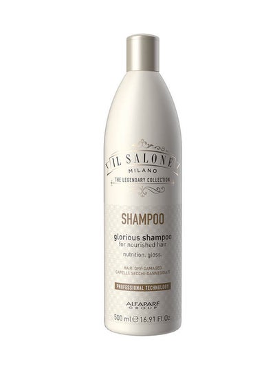 Buy IL Salone shampoo with protein for dry and damaged hair 500ml in Egypt