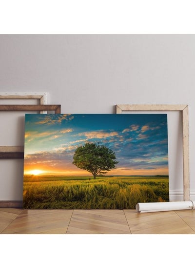 Buy home gallery wide angle shot single tree growing clouded sky during sunset surrounded by grass Printed Canvas wall art in Egypt