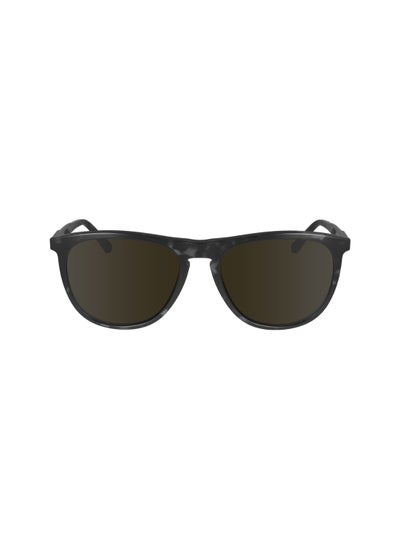 Buy FULL RIM ACETATE AVIATOR CALVIN KLEIN SUN CK24508S  5518 (017) BLACK HAVANA in UAE