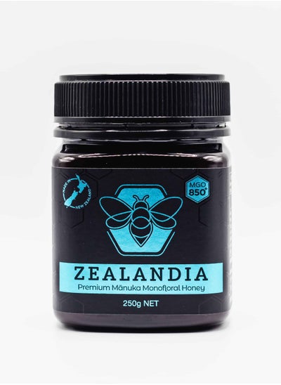 Buy Zealandia Honey Cobalt Label mgo850 Plus, 250gm in UAE