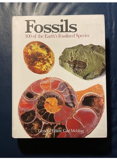 اشتري Fossils: 300 of the Earth's Fossilized Species في الامارات