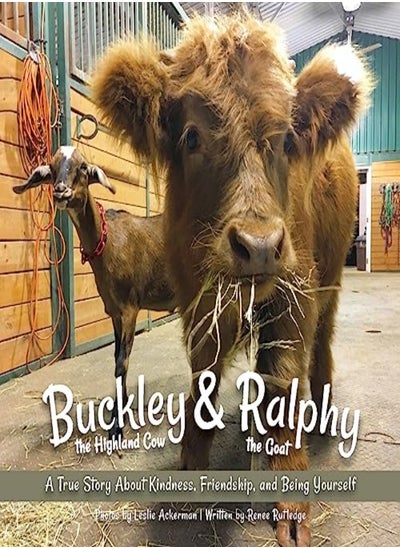 اشتري Buckley The Highland Cow And Ralphy The Goat في الامارات