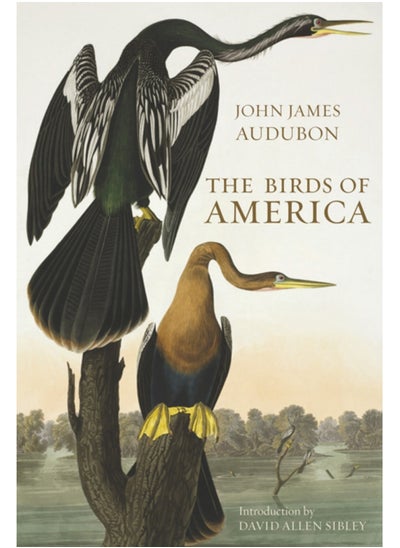 Buy The Birds of America in Saudi Arabia