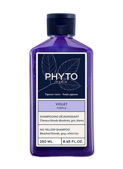 Buy Purple No Yellow Shampoo 250ml in UAE