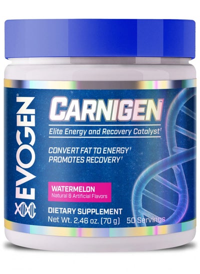 Buy Carnigen L-Carnitine Fat Burner Complex Watermelon 50 Servings 70g in UAE