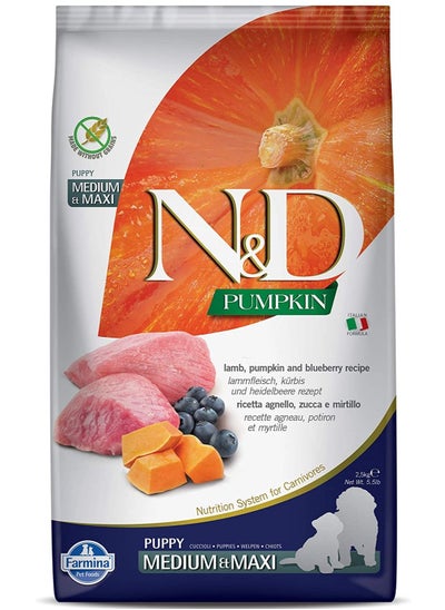 اشتري Lamb, Pumpkin and Blueberry Recipe Medium & Maxi Puppy Food, 2.5 Kg في الامارات