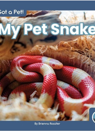 Buy I Got a Pet! My Pet Snake in UAE