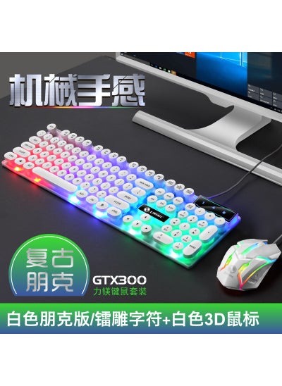 اشتري GTX300 Wired Gaming Keyboard Mouse Combo with Rainbow LightPunk version GTX300 set White Punk version GTX300 set White في السعودية