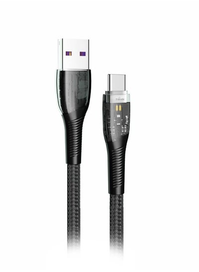 Buy Trands Glassy Series Type-C USB Cable in UAE