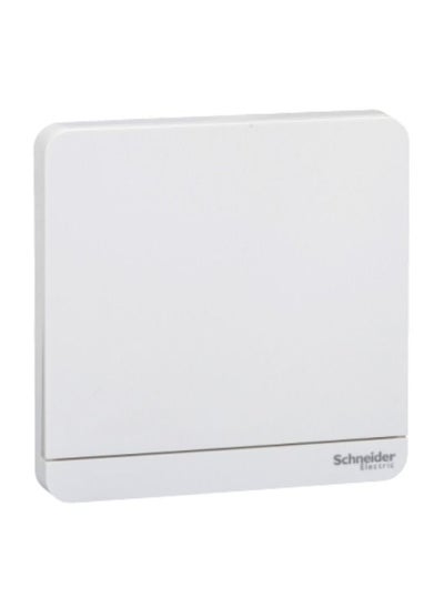 اشتري Schneider Electric AvatarOn, time delay switch, 4 A, 250 V, White (Model Number-E8331PRL1_WE) في الامارات