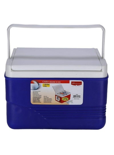Buy 6-Litre Ice Box Thermo insulated Picnic Cool Box-Thermo Keeper Container Expanded Cooler Fishing Ice Box-Blue in UAE
